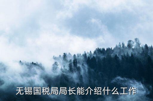 無錫地稅局長接待日是什么，無錫國稅局局長能介紹什么工作