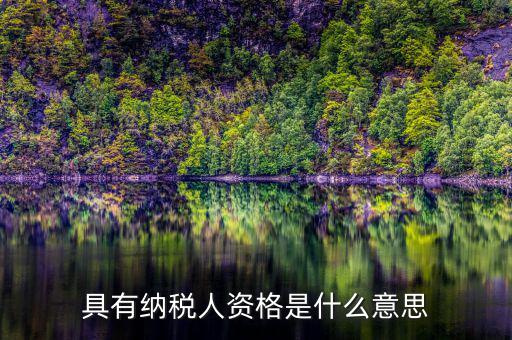 單位納稅資質(zhì)是什么，具有納稅人資格是什么意思