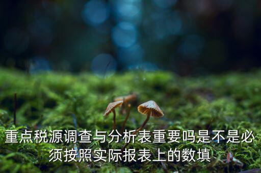 重點稅源分析分析什么，重點稅源的介紹