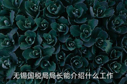 無(wú)錫國(guó)稅局局長(zhǎng)能介紹什么工作