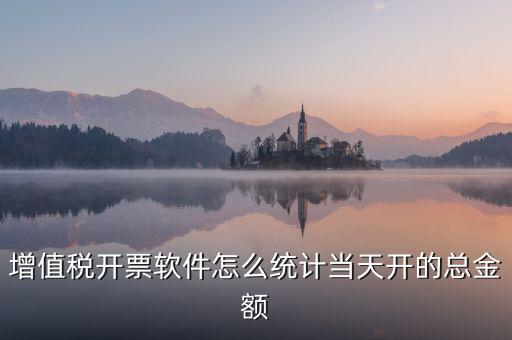 增值稅開票軟件怎么統(tǒng)計(jì)當(dāng)天開的總金額