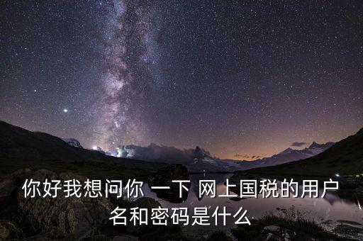 你好我想問(wèn)你 一下 網(wǎng)上國(guó)稅的用戶名和密碼是什么