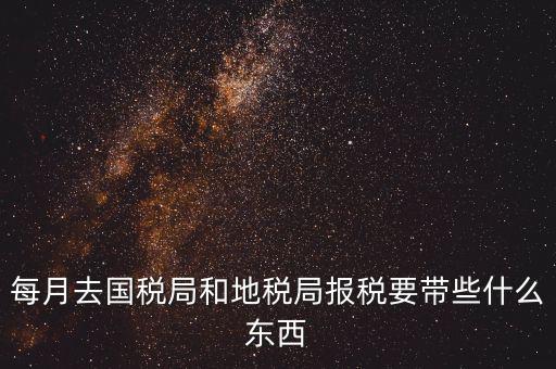 國(guó)稅大廳報(bào)稅需要什么，你好請(qǐng)教你一下如果我去國(guó)稅大廳報(bào)稅的話都需要帶什么東西填