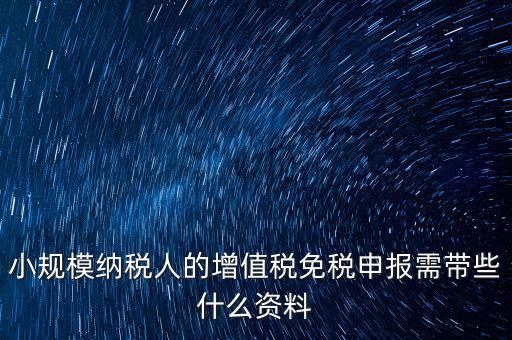 小規(guī)模納稅人的增值稅免稅申報需帶些什么資料