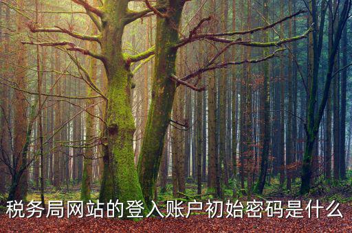 浙江國(guó)稅登入密碼是什么，稅務(wù)局網(wǎng)站的登入賬戶初始密碼是什么