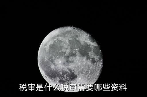 什么是大企業(yè)稅務(wù)審計(jì)，審計(jì)和稅務(wù)
