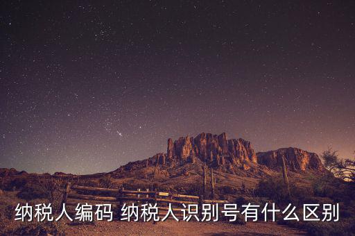 納稅人的識別號是什么意思，納稅人識別號是什么
