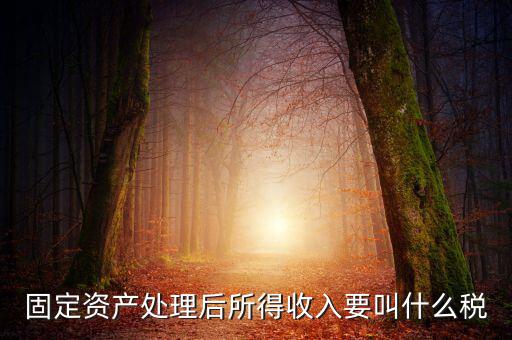 什么叫做試點(diǎn)納稅人，固定資產(chǎn)處理后所得收入要叫什么稅