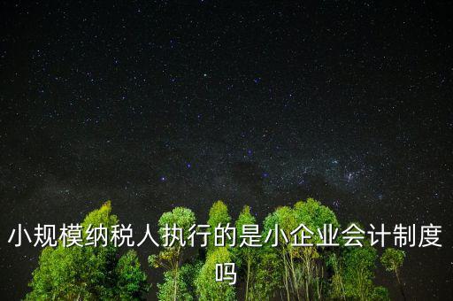 小規(guī)模納稅人什么制度，我國增值稅法對小規(guī)模納稅人實行什么法