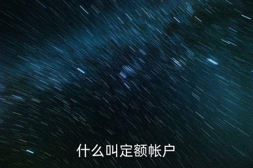 定期定額戶什么意思，什么是定期定額申購業(yè)務(wù)