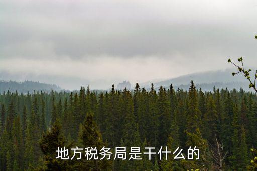 地稅局涉外稅收做什么，陜西發(fā)票涉外地稅是什么意思