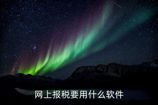 納稅申報的軟件是什么，申報軟件是什么