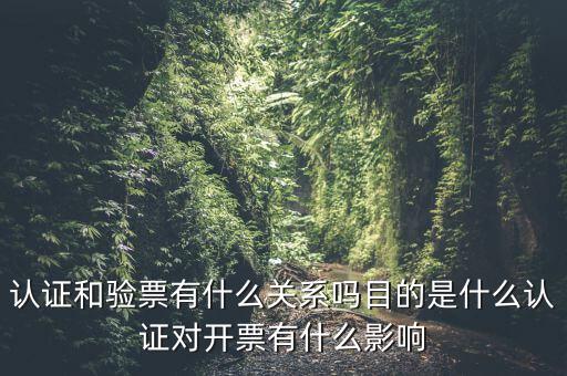 認(rèn)證和驗(yàn)票有什么關(guān)系嗎目的是什么認(rèn)證對(duì)開(kāi)票有什么影響