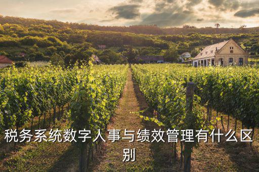 什么是稅務(wù)績效管理工作亮點，績效管理是什么