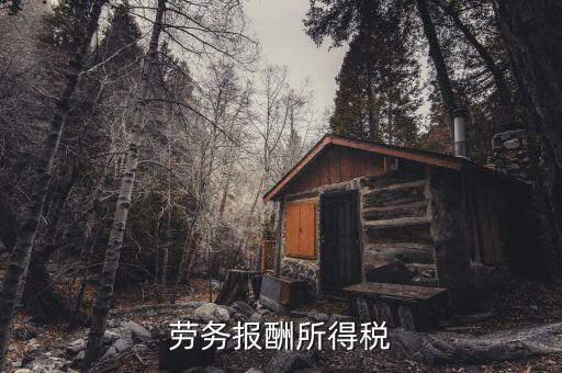 什么是勞動報酬稅，勞務(wù)稅是什么