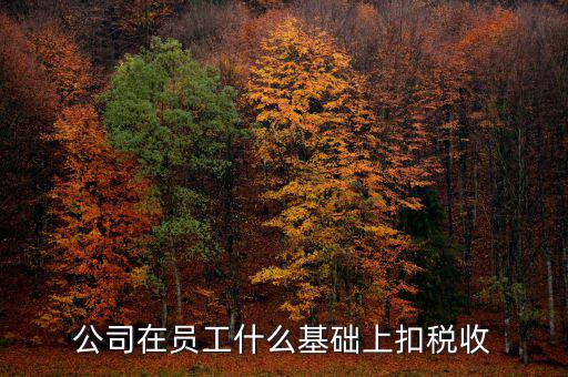 什么是稅收基礎(chǔ)工作，問個(gè)問題稅務(wù)基本建設(shè) 是個(gè)什么崗位