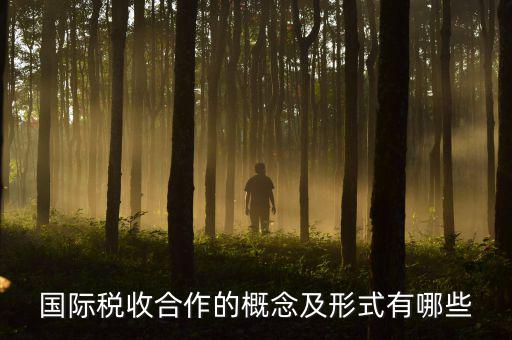 國際稅源是什么意思，國際稅收合作的概念及形式有哪些