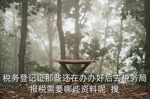 新辦企業(yè)稅務(wù)局需要什么資料，稅務(wù)登記證那些還在辦辦好后去稅務(wù)局報(bào)稅需要哪些資料呢  搜