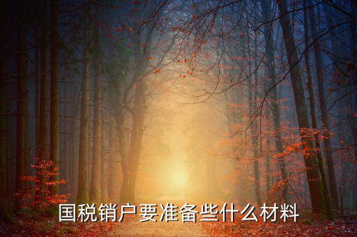 去國(guó)稅銷戶需要帶什么資料，國(guó)稅注銷需要哪些材料