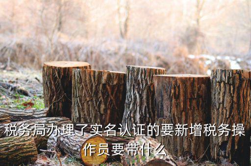 四川國稅局實名認證需要什么資料，國稅發(fā)票認證需要準備那些資料 到大廳辦的時候工作人員叫我拿U盤