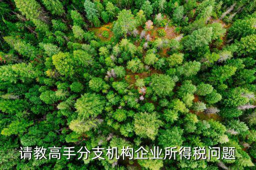 企業(yè)所得稅分管單位是什么意思，企業(yè)所得稅主管稅務(wù)局指的是什么