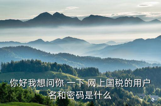 你好我想問(wèn)你 一下 網(wǎng)上國(guó)稅的用戶名和密碼是什么