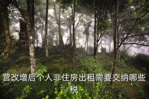 個人出租非房屋交什么稅，您好個人出租非住房繳納房產(chǎn)稅按照2019新政策是不是租賃收入