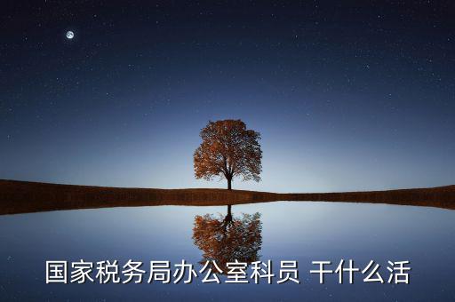 國(guó)家稅務(wù)局辦公室科員 干什么活