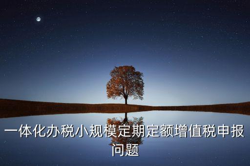 非定期定額戶申報(bào)是什么意思，一體化辦稅小規(guī)模定期定額增值稅申報(bào)問題