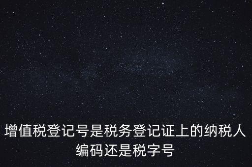 一般納稅人登記編號(hào)是什么，納稅人編號(hào)是什么