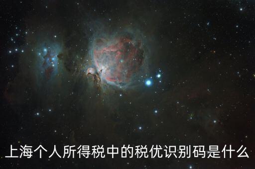 稅優(yōu)碼什么樣子，保險(xiǎn)稅優(yōu)識(shí)別碼是什么樣的