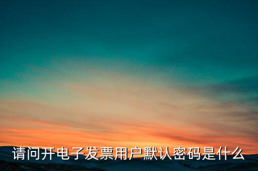 重慶國稅電子發(fā)票登錄密碼是什么意思，國稅局發(fā)票軟件里用戶代碼和密碼是什么