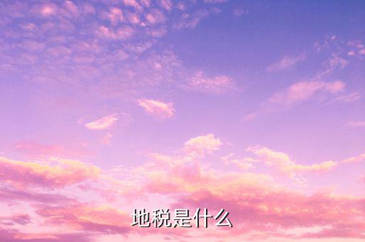 地稅調(diào)研文章些什么意思，通過對(duì)某地方國稅地稅辦稅業(yè)務(wù)的調(diào)研談?wù)劕F(xiàn)階段地方國稅地稅