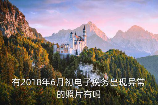 有2018年6月初電子稅務出現(xiàn)異常的照片有嗎