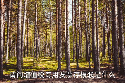 發(fā)票存根聯(lián)是什么，發(fā)票存根聯(lián)是按發(fā)票購(gòu)領(lǐng)本上領(lǐng)購(gòu)的本數(shù)裝訂還是25張裝訂一冊(cè)