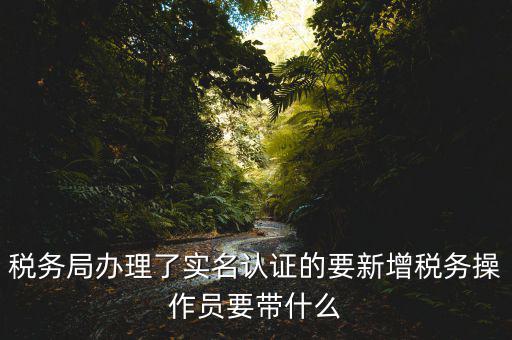 稅務(wù)局辦理了實名認證的要新增稅務(wù)操作員要帶什么