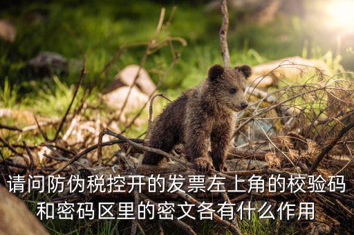請(qǐng)問(wèn)防偽稅控開(kāi)的發(fā)票左上角的校驗(yàn)碼和密碼區(qū)里的密文各有什么作用