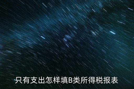 個人生產(chǎn)經(jīng)營所得B表稅金填什么，只有支出怎樣填B類所得稅報表