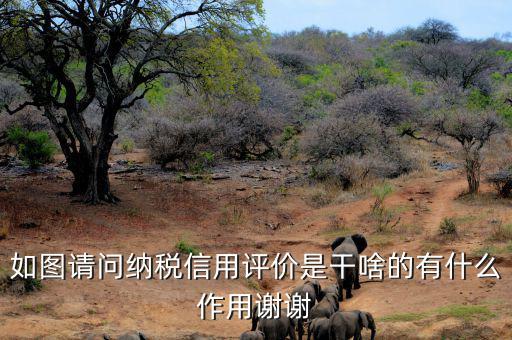 申請納稅信用復(fù)評需要什么資料，納稅信用評價的基本規(guī)范要求包括什么