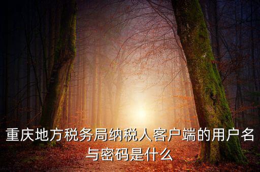 重慶國稅電子發(fā)票登錄密碼是什么，國稅局發(fā)票軟件里用戶代碼和密碼是什么