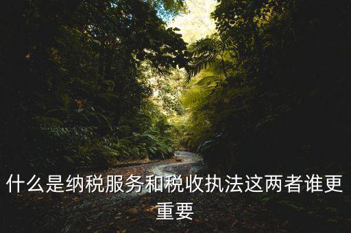 地稅納服是做什么，求助地稅納稅服務(wù)這個崗位有發(fā)展前景么