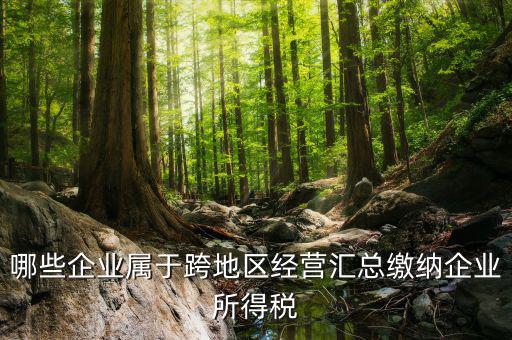 跨地區(qū)經(jīng)營匯總納稅指的是什么，哪些企業(yè)屬于跨地區(qū)經(jīng)營匯總繳納企業(yè)所得稅