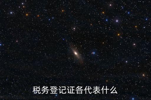 什么稅務(wù)登記證，什么是稅務(wù)登記證