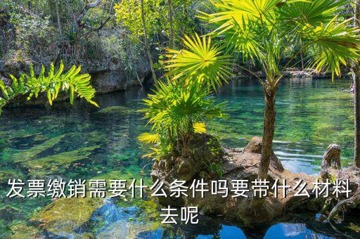票證結(jié)報(bào)繳銷包括什么，去國(guó)稅局做稅票結(jié)報(bào)要帶哪些東西