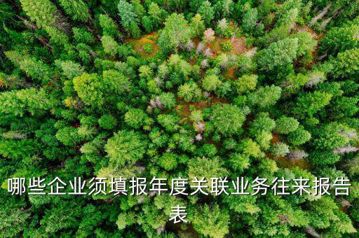 哪些企業(yè)須填報年度關聯業(yè)務往來報告表