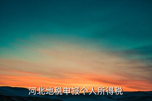 河北地稅申報(bào)個人所得稅