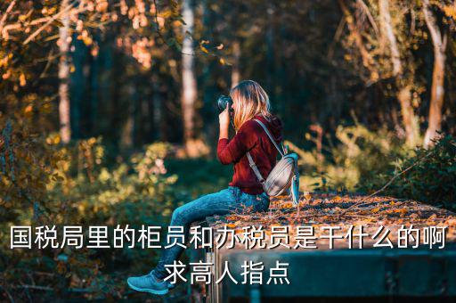 國稅局導(dǎo)稅員干什么的，國稅局里的柜員和辦稅員是干什么的啊求高人指點