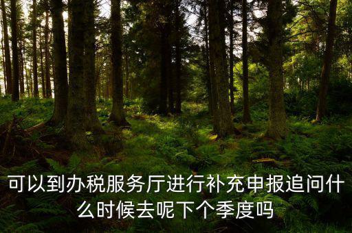 據(jù)實(shí)申報是按照什么申報，可以到辦稅服務(wù)廳進(jìn)行補(bǔ)充申報追問什么時候去呢下個季度嗎
