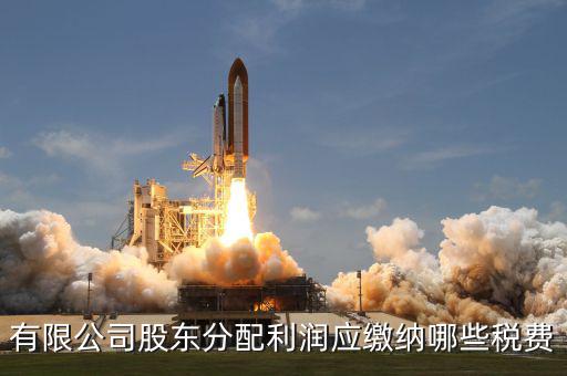 公司股東需要交什么稅，有限公司股東分配利潤應繳納哪些稅費