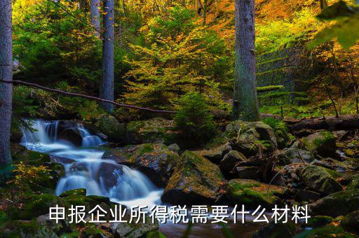 企業(yè)所得稅補(bǔ)申報(bào)需要什么，申報(bào)企業(yè)所得稅需要什么材料